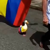 BOCURO_RUSO