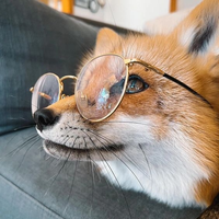 theefoxer