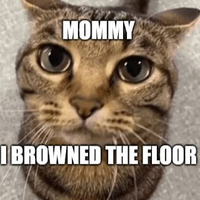 KidneySnatcher69