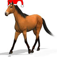 drhaestesson