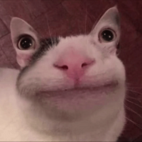 Yupert