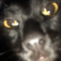 DXRWRLD
