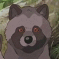 THICCRaccoon