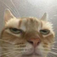 rort_blort