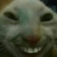 Dani_64