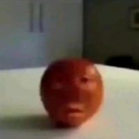 gvb0_