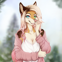 SolidFerret