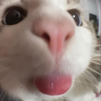 CelestialMilo