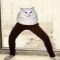 Rykalout