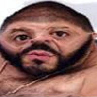 Manulesteifen