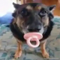 DemarcusCutie