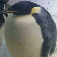 Lituna