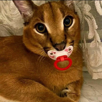 cutecatboymeow