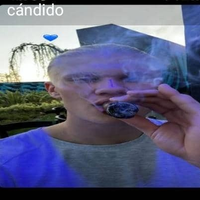 kandidomasacre