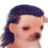 Hairlessdog