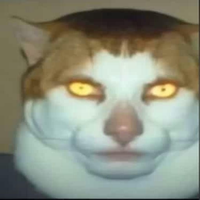 7InchForAReason