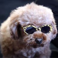 lilbrownie