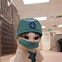 DoctorFLEXoChan