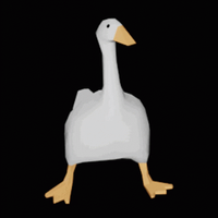 bidoog