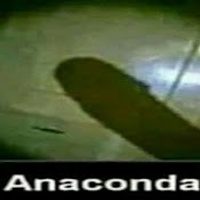 gigapenis23
