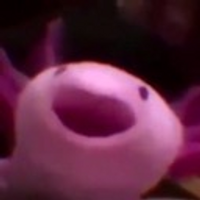 DumplingDave