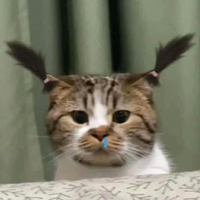 Aleyup