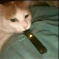 XDSquizxy