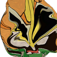 CooleKid15
