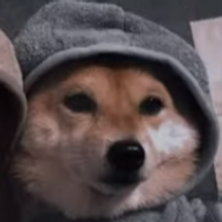 DJ Koala