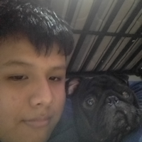 Romualdo69HD