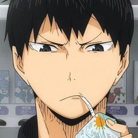 ike1504