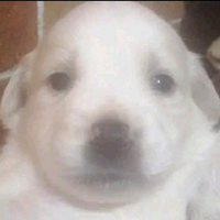 fabianxito69