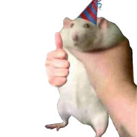 DanielStiv