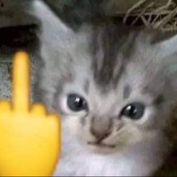 Ferkii