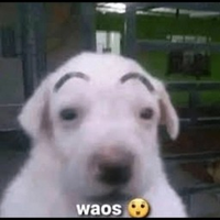 Mr_Waos32