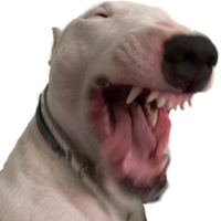 LenaJudas