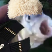 MkBruh