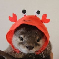 OtterJulius