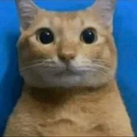 DiegoInsano1234