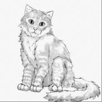 nimodaju