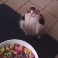 aleix peix