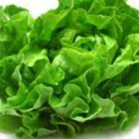 Leaf_Lettuce