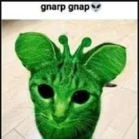 xXBabaOps69Xx