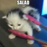 Salv0_