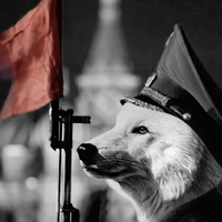 SovietWolfie