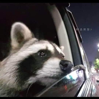 PopeyeUwU