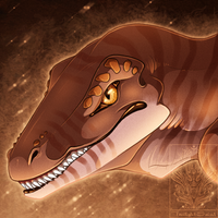 Raptor_pro12