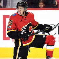 Flames_Fan