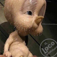 PajaritoEducado