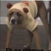 El perro guaton